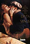 Delta of Venus
