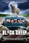 Black Sheep
