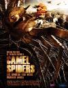 Camel Spiders
