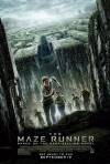 The Maze Runner