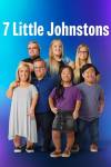 7 Little Johnstons