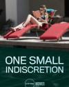 One Small Indiscretion