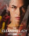 The Cleaning Lady