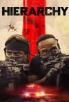 Hierarchy