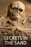 Secrets in the Sand